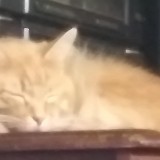 b97b673f54691a775fd2e6a4b14fa439