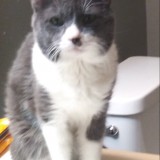 e33003064109a4e20054a1db83047880